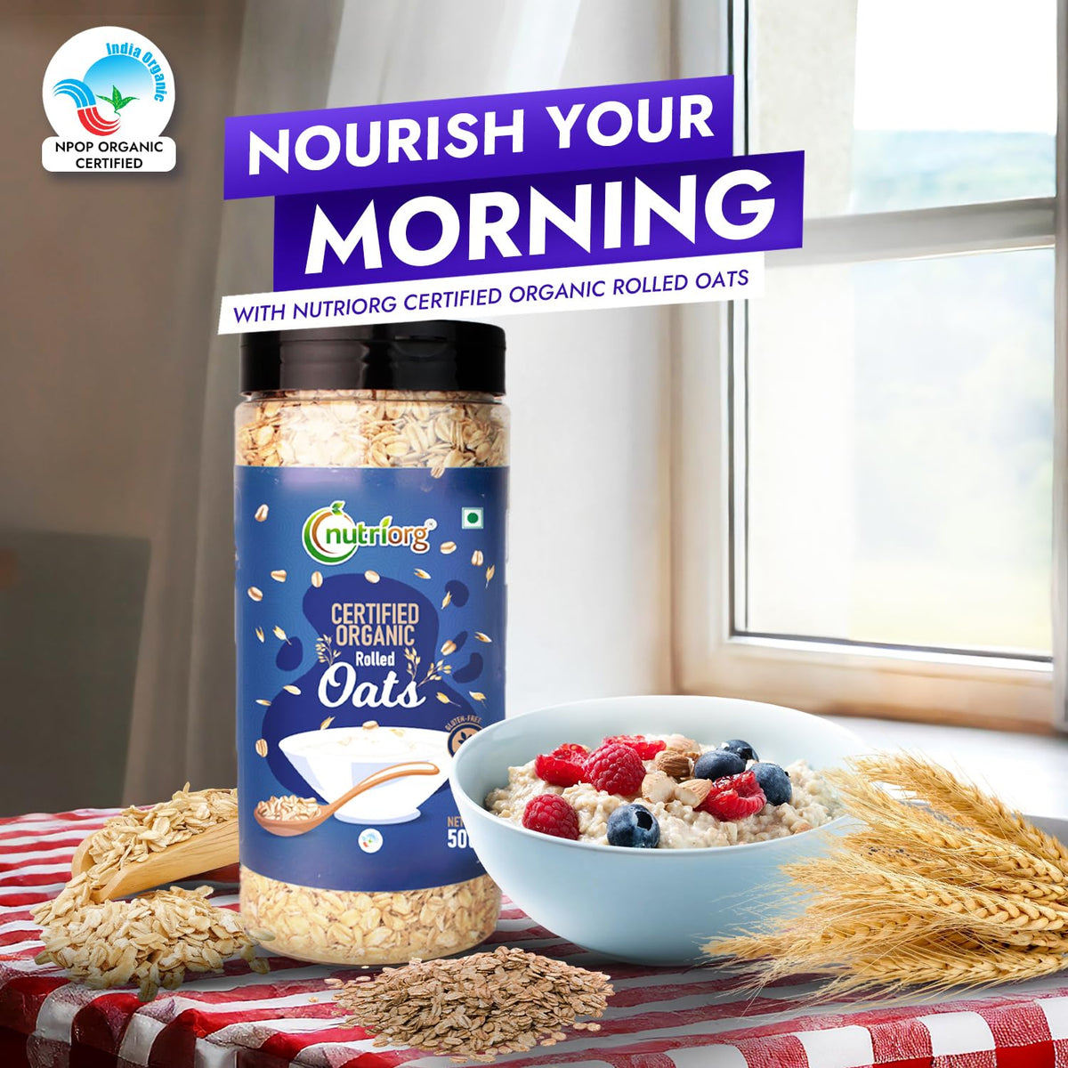 Nutriorg Organic Rolled Oats 2.5Kg (Pack of 5 x 500g) | Oats Imported from Australia | USDA Certified Organic & Gluten-Free | High Fiber & Protein | Bulk Value Pack for Weight Loss & Daily Breakfast