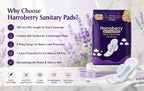XXL Sanitary Pads for Women (40 Pads) | Secure Nights Protection | Cottony Soft | Leak Lock Technology | Odour Control | Up to 12 Hours Protection | With Wings