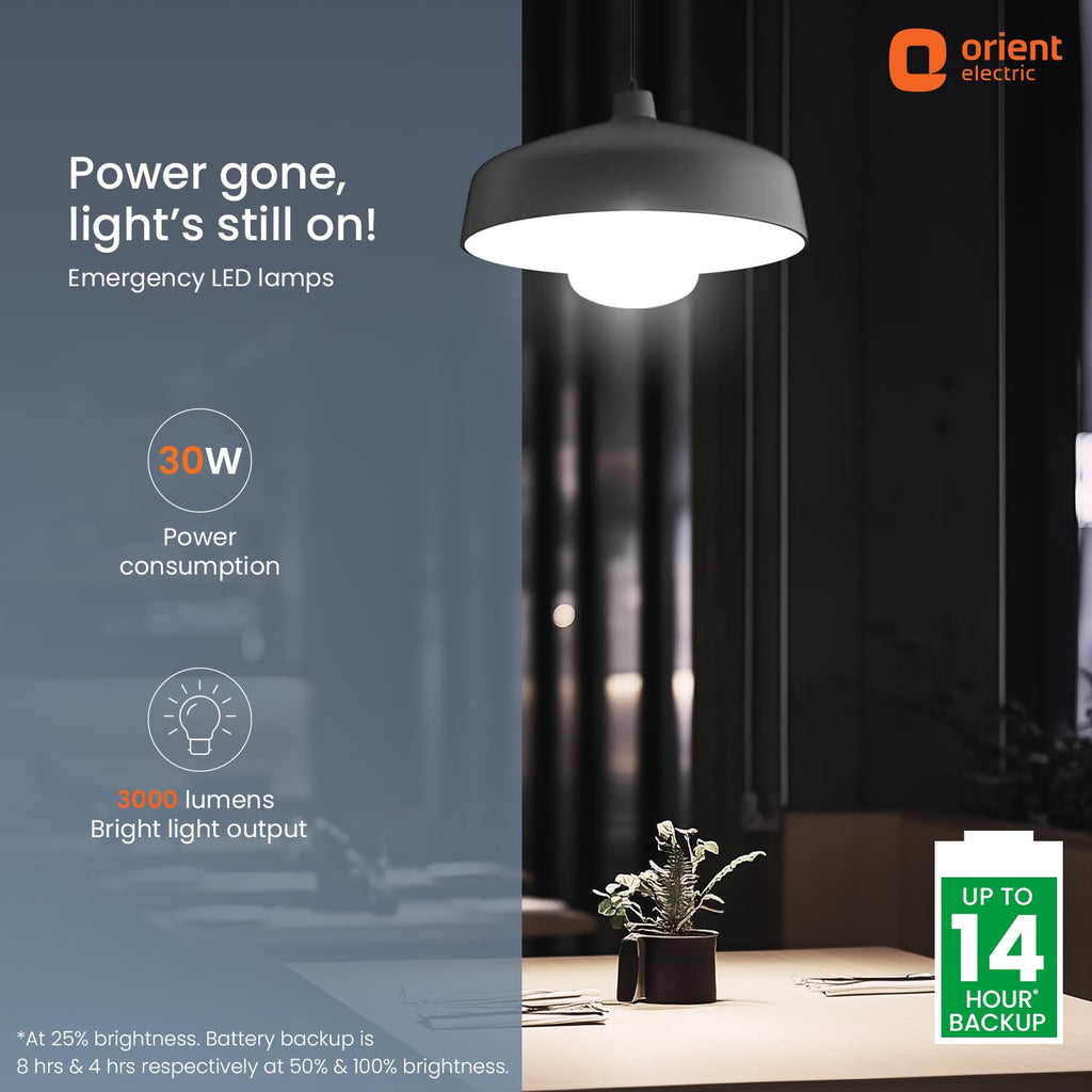 Orient Electric 30 W Emergency Inverter Rechargeable LED Bulb | Cool Day Light (6500K) | Energy Efficient | 4 Hour Battery Backup | Pack of 1