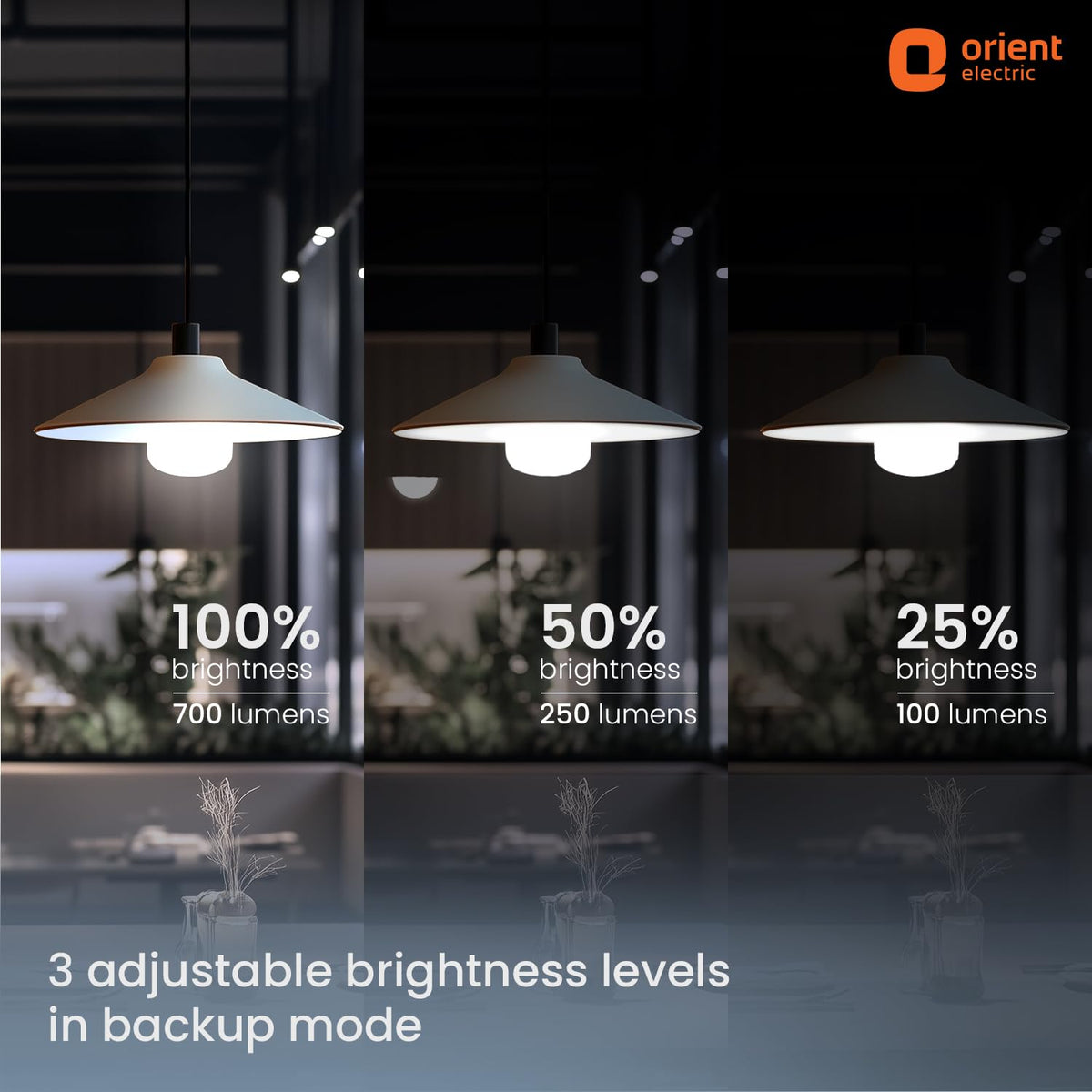 Orient Electric 30 W Emergency Inverter Rechargeable LED Bulb | Cool Day Light (6500K) | Energy Efficient | 4 Hour Battery Backup | Pack of 1