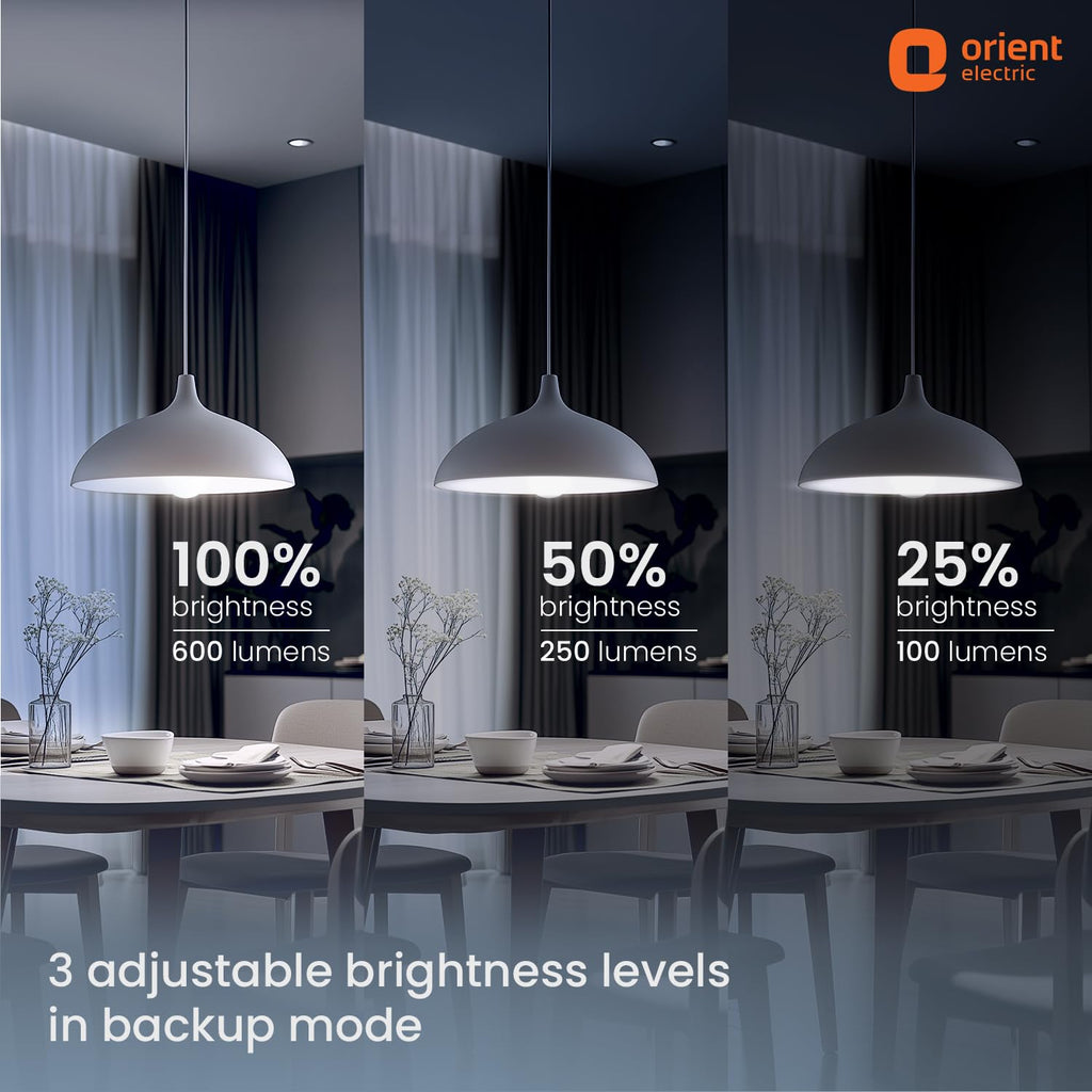 Orient Electric 20 W Emergency Inverter Rechargeable LED Bulb | Cool Day Light (6500K) | Energy Efficient | 4 Hour Battery Backup | Pack of 1