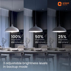 Orient Electric 20 W Emergency Inverter Rechargeable LED Bulb | Cool Day Light (6500K) | Energy Efficient | 4 Hour Battery Backup | Pack of 1