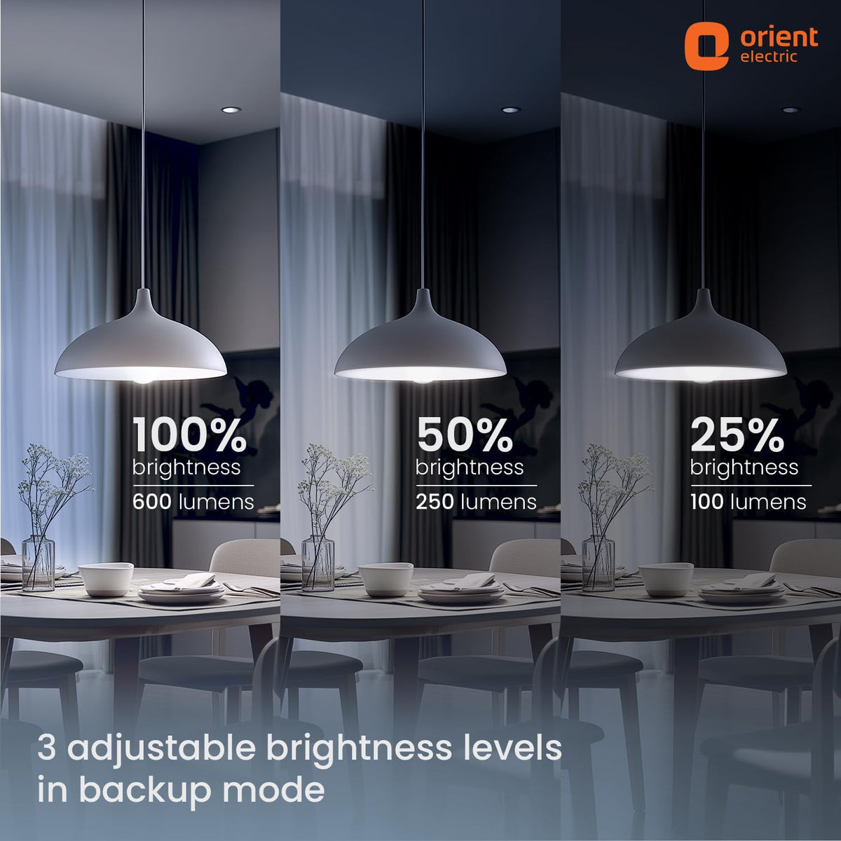 Orient Electric 20 W Emergency Inverter Rechargeable LED Bulb | Cool Day Light (6500K) | Energy Efficient | 4 Hour Battery Backup | Pack of 1