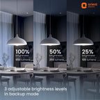 Orient Electric 25 W Emergency Inverter Rechargeable LED Bulb | Cool Day Light (6500K) | Energy Efficient | 4 Hour Battery Backup | Pack of 1